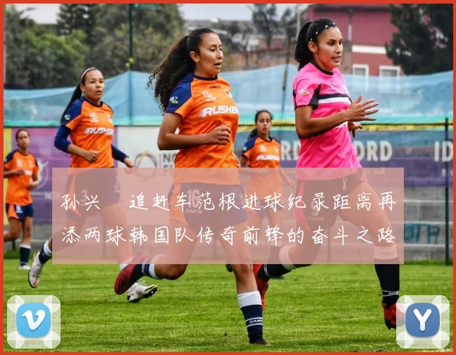 孙兴慜追赶车范根进球纪录距离再添两球韩国队传奇前锋的奋斗之路