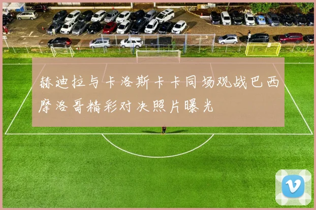 赫迪拉与卡洛斯卡卡同场观战巴西摩洛哥精彩对决照片曝光